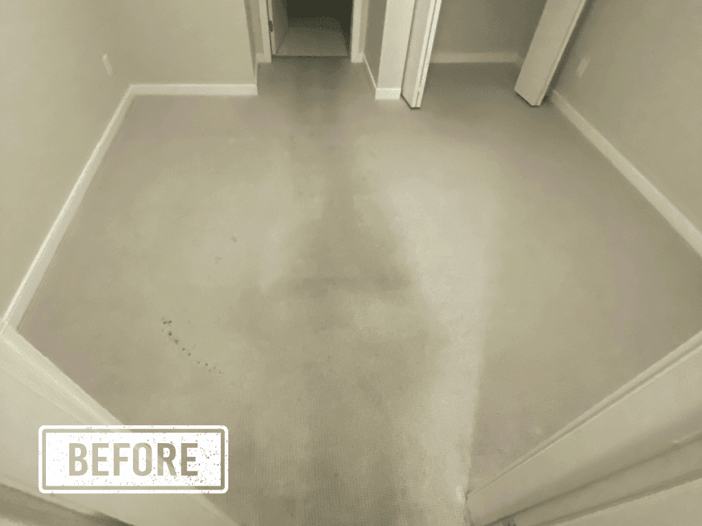 Room before — worn carpet flooring