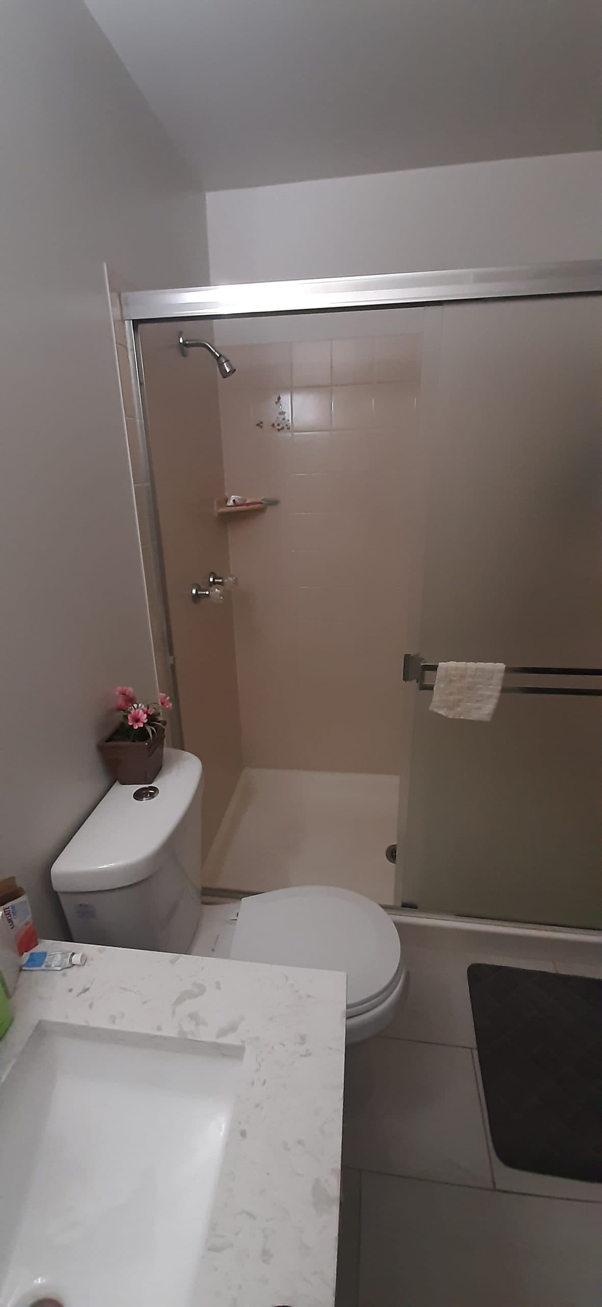 Bathroom before renovation