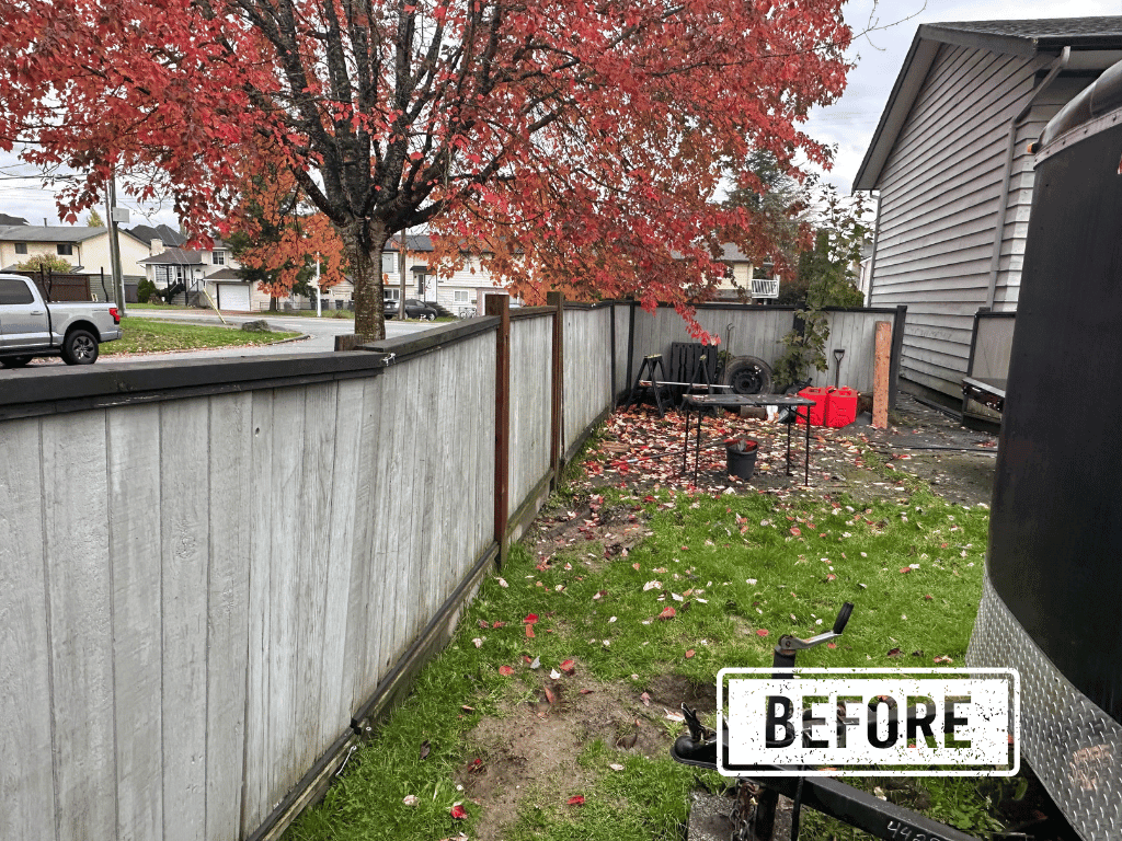 Fence before