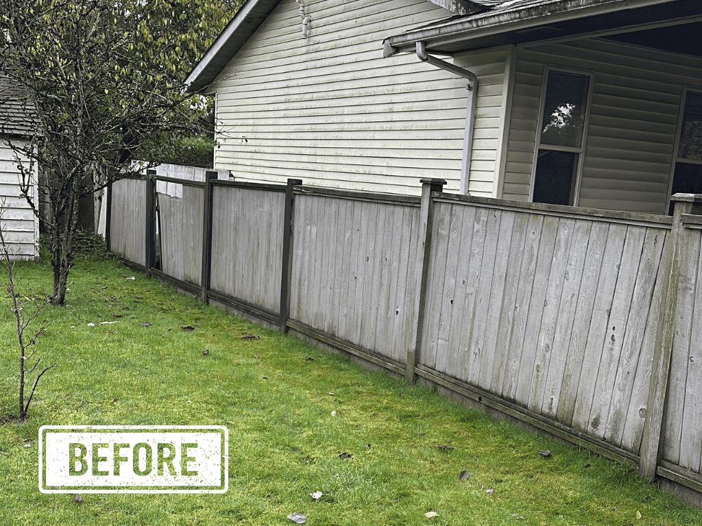 Fence before